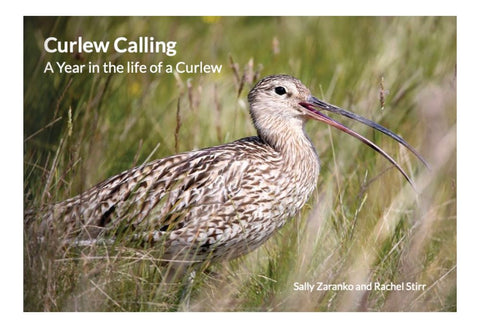 Curlew Calling. A year in the life of a Curlew. By Sally Zaranko and Rachel Stirr.