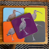 Curlew Coaster