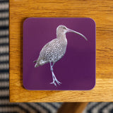 Curlew Coaster