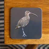Curlew Coaster