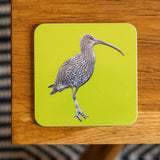 Curlew Coaster