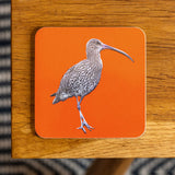 Curlew Coaster