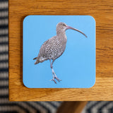 Curlew Coaster