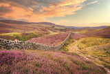 1 x Yorkshire Dales Calendar 2025 by Wendy McDonnell