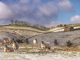 1 x Yorkshire Dales Calendar 2025 by Wendy McDonnell