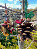 DCM Events - Natural Christmas Decorations - Friday 4 December
