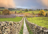 1 x Yorkshire Dales Calendar 2025 by Wendy McDonnell