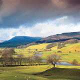 Wensleydale near Hawes Card - David Tarn Photography