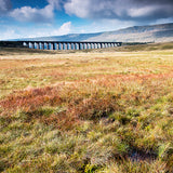 Ribblehead Card - David Tarn Photography