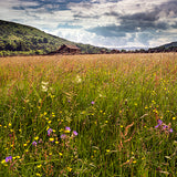 Swaledale Barn, Gunnerside Card - David Tarn Photography