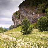 Kilnsey Crag Card - David Tarn Photography