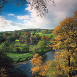 Bolton Priory Card - David Tarn Photography