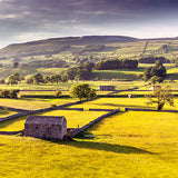 Barn Wensleydale Card - David Tarn Photography