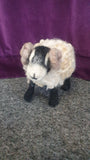 DCM Events - Needle Felted Sheep Workshop - Friday 5 September