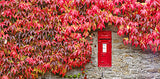 Dales Mail Card- by Mark Denton Photography