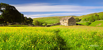 Buttercups and Barns, Swaledale Card - by Mark Denton Photography