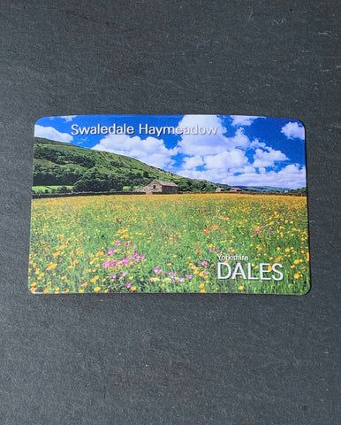 Image shows a Dales Hay meadow in summertime.