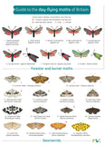 Guide to Day Flying Moths- FSC