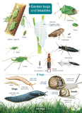 Guide to Garden Bugs and Beasties- FSC