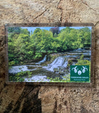 Image shows Aysgarth Falls in summertime