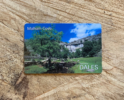 Image shows Malham Cove in the summer time.