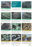 Guide To Common Fossils - FSC