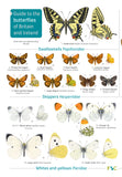 Guide To The Butterflies Of Britain & Ireland - FSC