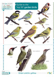 Guide To The Top 50 Garden Birds - FSC