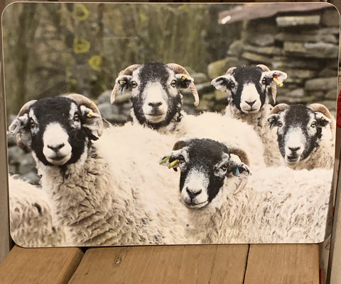 Image shows front of placemat with flock of swaledale sheep on.