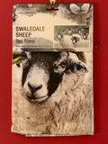 Image shows swaledale sheep t towel