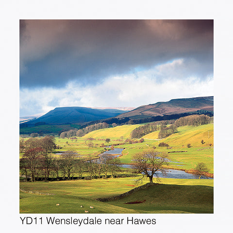 Wensleydale near Hawes Card - David Tarn Photography