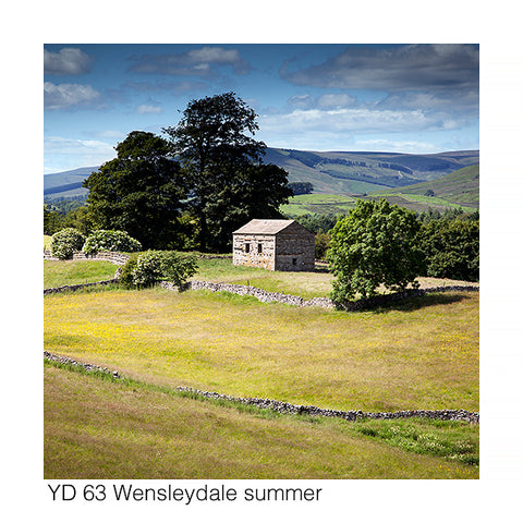 Wensleydale Summer Card - David Tarn Photography